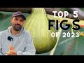 Top 5 Fig Tree Varieties of 2023: Our BEST Figs of the Year for Zone 6