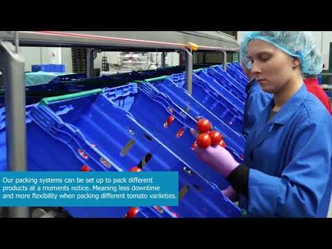 MARCO Tomato packing solutions