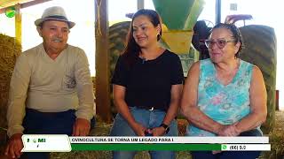 Ovinocultura se torna legado para uma família em Campo Verde