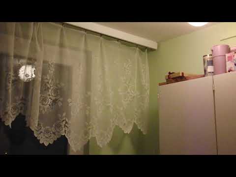 Denevér a konyhában! Bat in the kitchen!