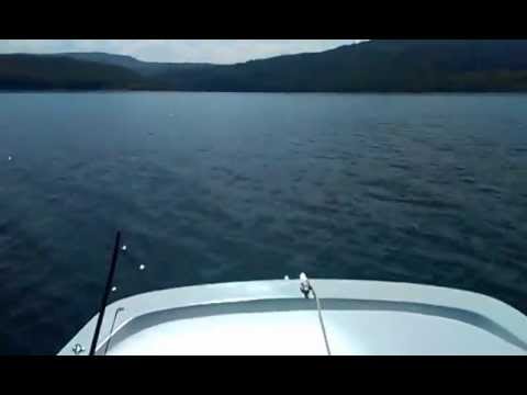 Mercury F 25 ELPT EFI 40 km/h