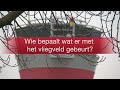 Lelystad Airport 50 jaar | Vijf vragen over jarig vliegveld 2
