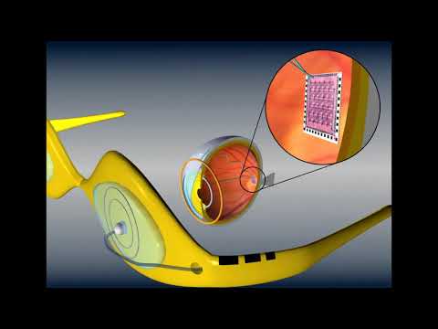 139 Hz : Eye Oblique muscle (RIFE Healing Frequency)