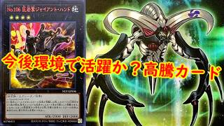 【遊戯王】今後環境で活躍か!最新高騰情報!【 遊戯王最新情報 #遊戯王 #遊戯王高騰 高騰報 ビヨンドザブレイブ 】