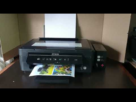 WhatsApp Video 2022 10 20 at 8 53 10 AM