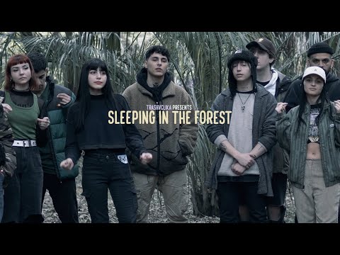 trashu x bullz - sleeping in the forest remix (video oficial)