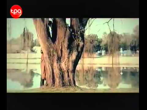 Leo l principe  Apareça