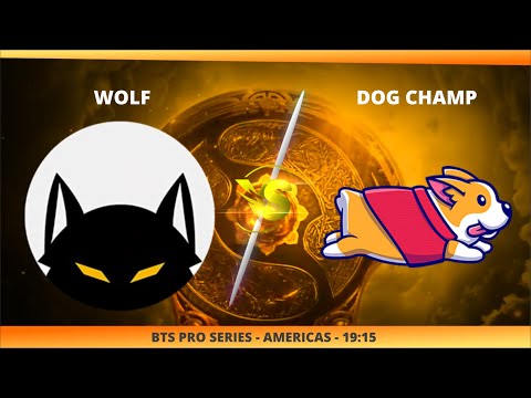 WOLF X DOG CHAMP - BTS PRO SERIES - AMERICA - @JAPALOKY