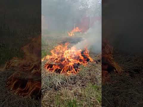 Igranje vatrom uz obilno dimljenje Melenci 02.05.2023.