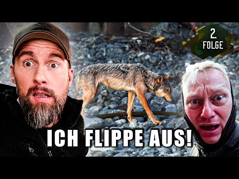 PERFEKTE AUFNAHME vom Küstenwolf bei Knossi & Sascha | Robert Marc Lehmann reagiert  auf 7 vs. Wild