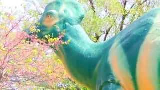 preview picture of video 'Sinclair Oil World's Fair Life Sized Corythosaurus (Independence, KS)'
