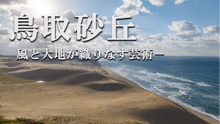 動画1