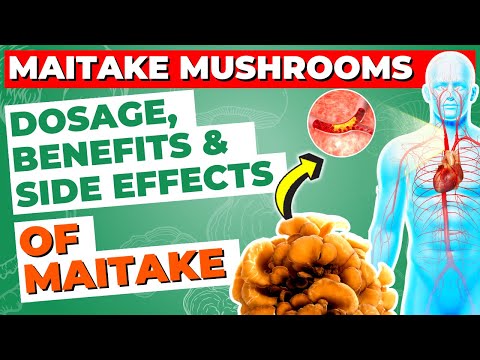Maitake Mushroom Health Benefits, Side Effects, and Dosage Guide