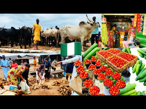 Pricing And Shopping with $15 In Delta Market ||Markets Highlights