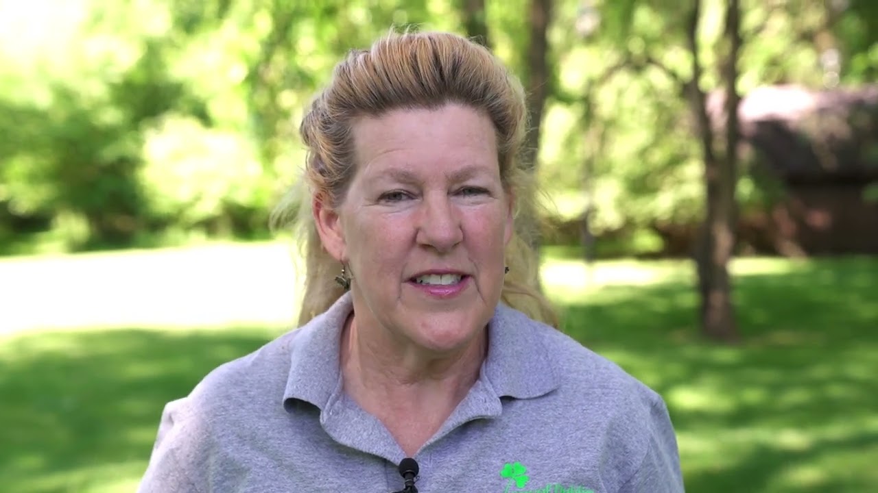 Dublin's Backyard with Barbara Ray: Skunks