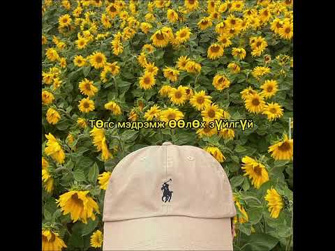 Sanaa Z~Missing piece (lyrics video)