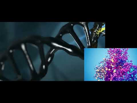 Black Friday TikTok ad