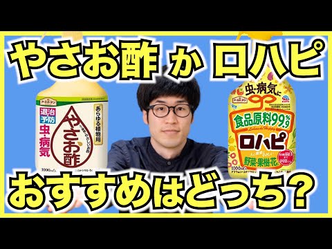 園芸 酢、バージニアウルシ