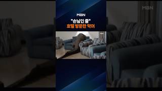 손님인 줄⋯'3.6m 악어' 황당한 호텔 체크인