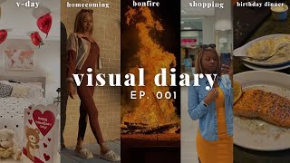 visual diary ep. 001 | homecoming, new hair & intro, iPad unboxing, mini haul & more