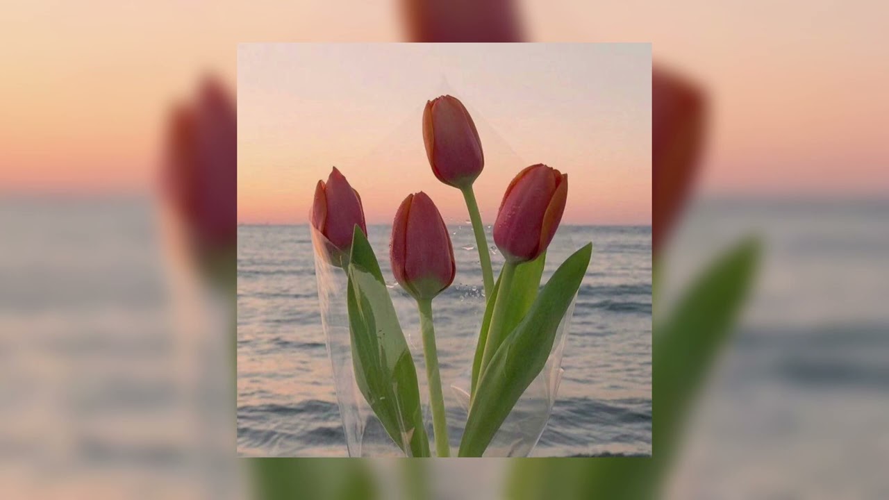 playlist for my mom (mothers day special!) timestamps+ ♡︎