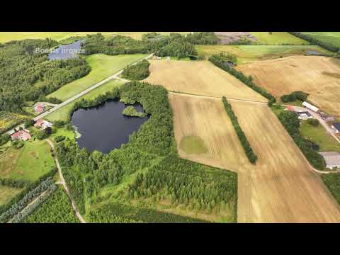 Historien i Midtvest - Boests bronze