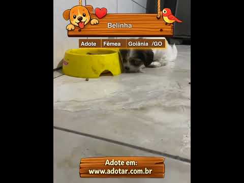 Vídeo de Belinha