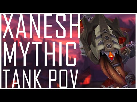 Xanesh Mythic Tank PoV Protection Paladin: Full Comms and Strategy