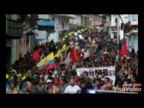 MARMOTA feat  MICRÓFONO  TIENEN  MIEDO
