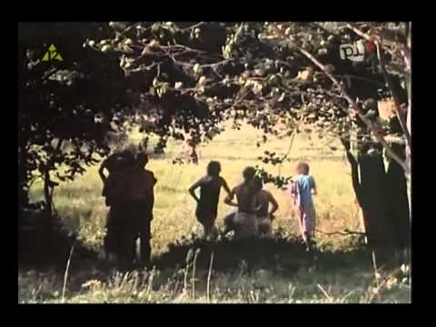 BRYGADA KRYZYS z filmu Koncert 1982