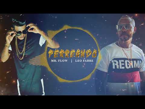 Perreando | Mr. Flow  x  Leo Fabre (HQ)