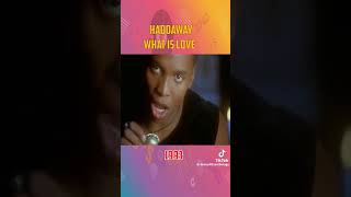 Haddaway - WHAT IS LOVE de 1993 (Speed Up) 