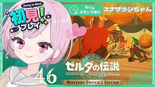 異変調査ラスト！ゲルド地方へ逝ってみよう🏜️ウィッダちゃんと再会したい九州の蛮族｜シリーズ完全初見【ゼルダの伝説 ティアーズ オブ ザ キングダム｜ティアキン｜TotK】#46