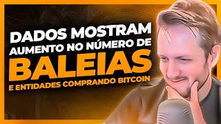 ANLISE E DADOS ON CHIAN MOSTRAM QUE BALEIAS ESTO COMPRANDO MAIS BITCOINS   AUGUSTO BACKES