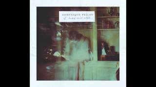 Dominique Fricot - Haunted By Love