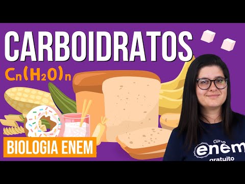 CARBOIDRATOS: o que são, função, exemplos (BIOQUÍMICA) | Resumo de Biologia para o Enem