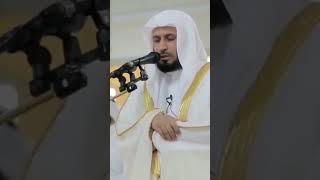 Download lagu Saad Al-Ghamidi Aameen #aameen #saadalghamidi #youtubeshorts #tilawat mp3
