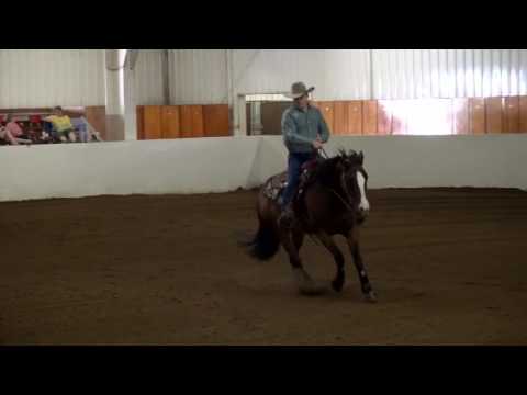 13 Saturday  NRHA Rookie Lvl 1