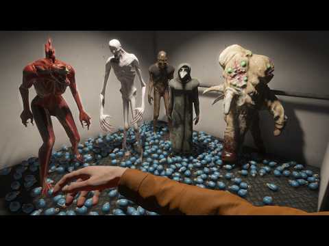 Top SCP:SL Clips of 2024