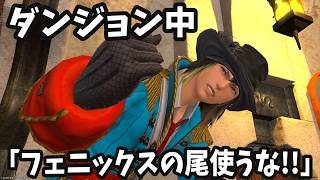 【FF14】ヒーラーでフェニックスの尾使うとキレられた件※戦闘の悩みまとめ