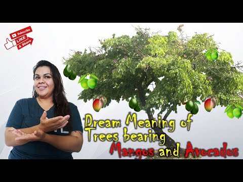 EXCLUSIVE Dream Meaning of Trees bearing Mangos and Avocados at the same time!