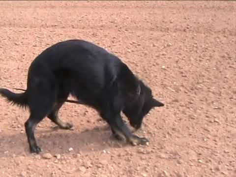 Qwin z udoli Upy - stopa