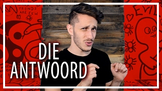 Why South Africa Hates Die Antwoord