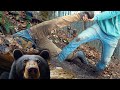 Bear Hunting Gone Very Wrong