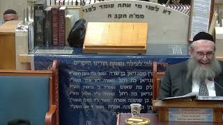 הרב יהושע ויזגן מסכת חולין דף לז עמוד ב' (בית הכנסת מוסאיוף) - התמונה מוצגת ישירות מתוך אתר האינטרנט יוטיוב. זכויות היוצרים בתמונה שייכות ליוצרה. קישור קרדיט למקור התוכן נמצא בתוך דף הסרטון