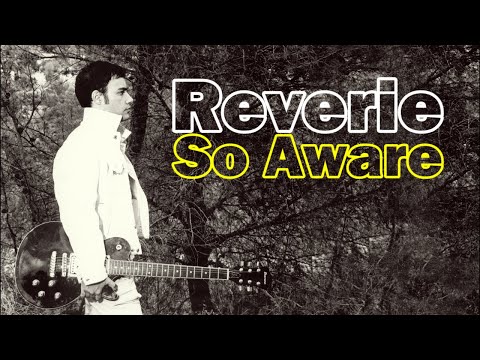 Reverie - So Aware