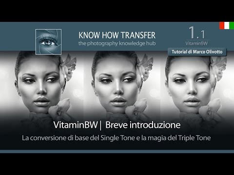 1.1 Introduzione a VitaminBW | Di Marco Olivotto