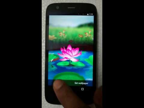 Lotus 3D Live Wallpaper Video