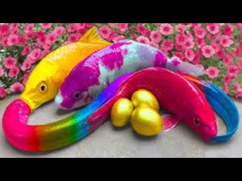 EXOTIC FISH in POND!! StopMotion ASMR - Koi Mukbang Ribbon eel Colorful Primitive Cooking Experiment