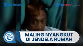 Viral Video Maling Apes Nyangkut di Jendela, Dipergoki Pemilik Rumah hingga Seluruh Warga Setempat